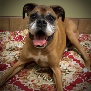 Meet your Posher, Claudia